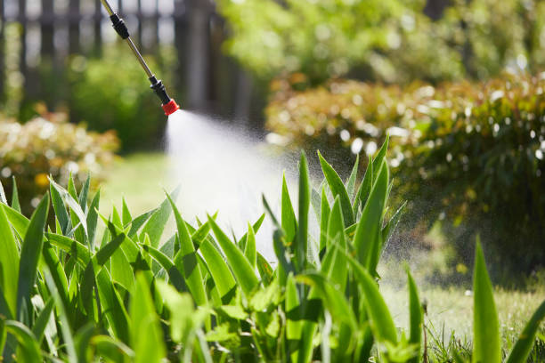 24/7 Emergency Ant Control experts in Ponca City, OK