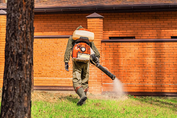 Top rated local Ant Control specialists in Ponca City, OK